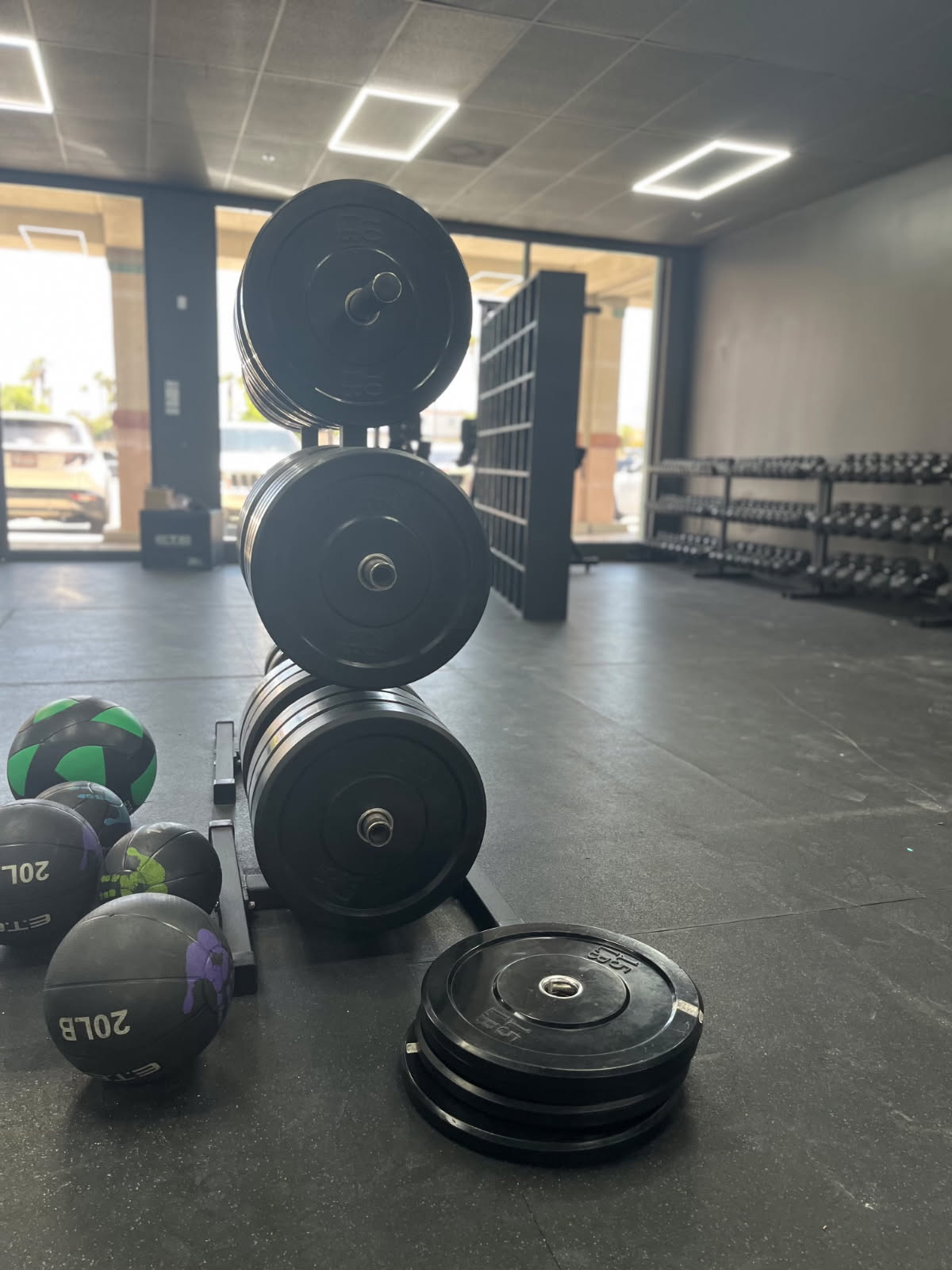 Free Weights, Bumper Plates, and Slam Balls